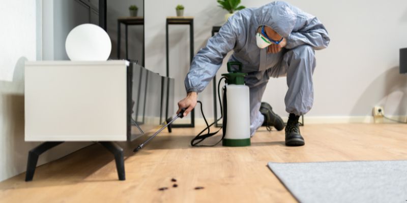 Quanto tempo dura uma dedetização em Fortaleza?