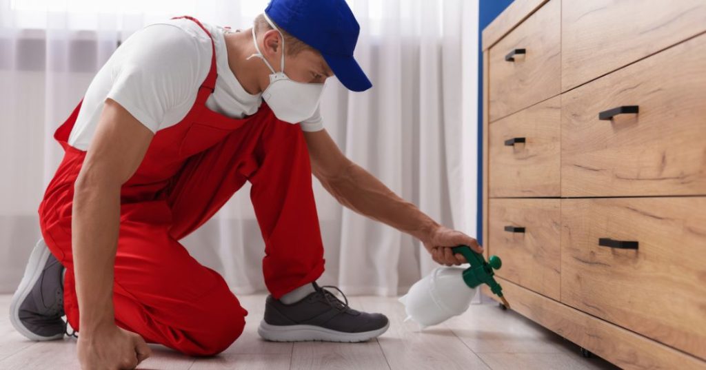 Como Eliminar Mosquitos em Goiânia: 5 Técnicas capa dedetizacao em Goiânia