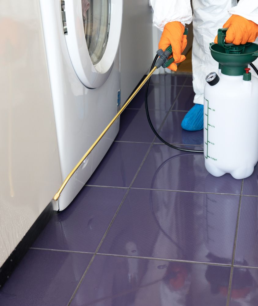 Dedetização em Goiânia