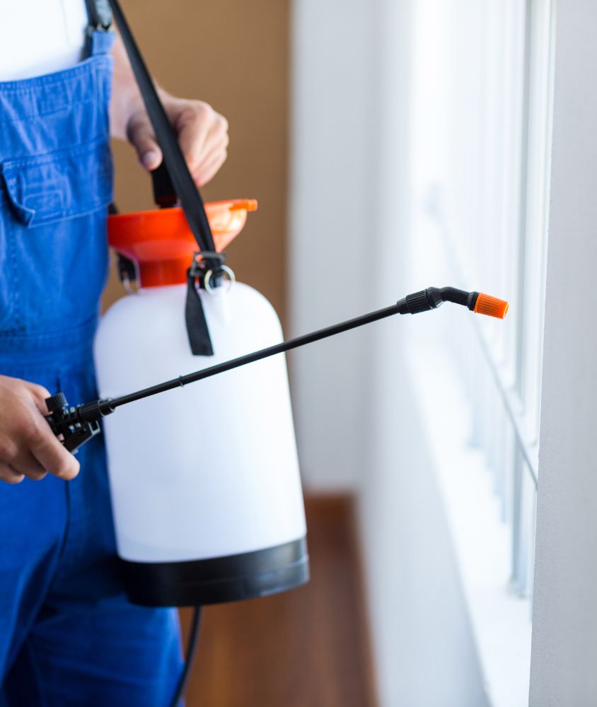 dedetizador em Goiânia