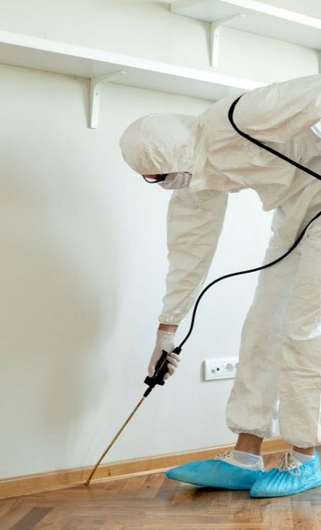 dedetizadora em Goiânia